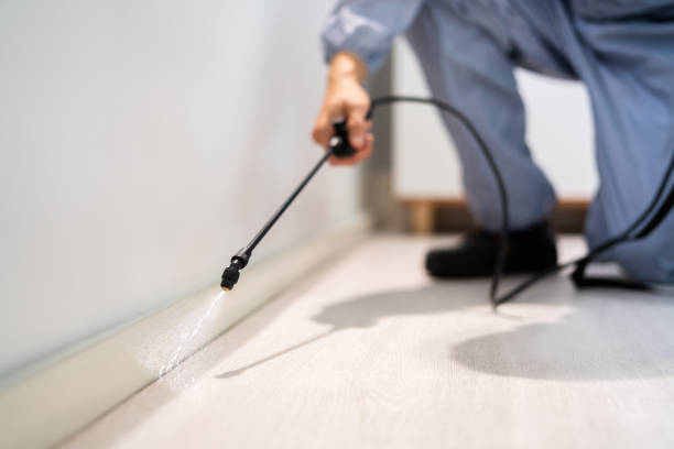 Licensed Pest Control service in Morrisville, PA - Show Me Pest Control