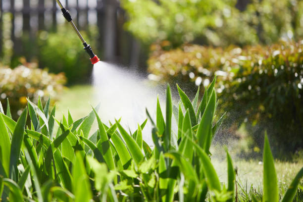 24/7 Emergency Mosquito Control experts in Morrisville, PA